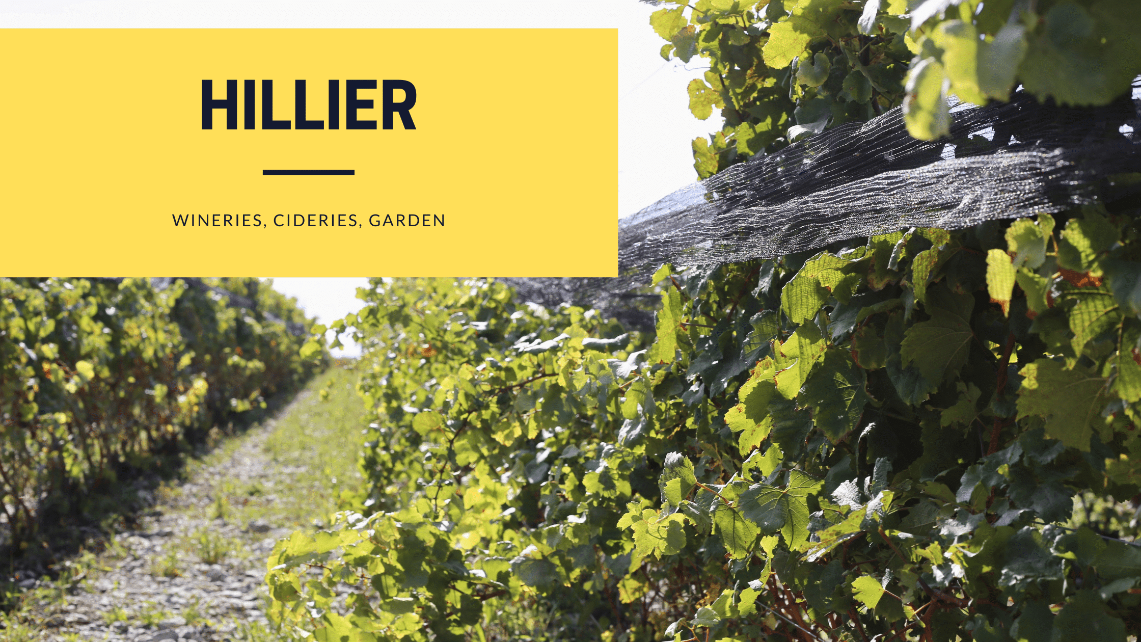 hillier, prince edward county, neighbourhoods