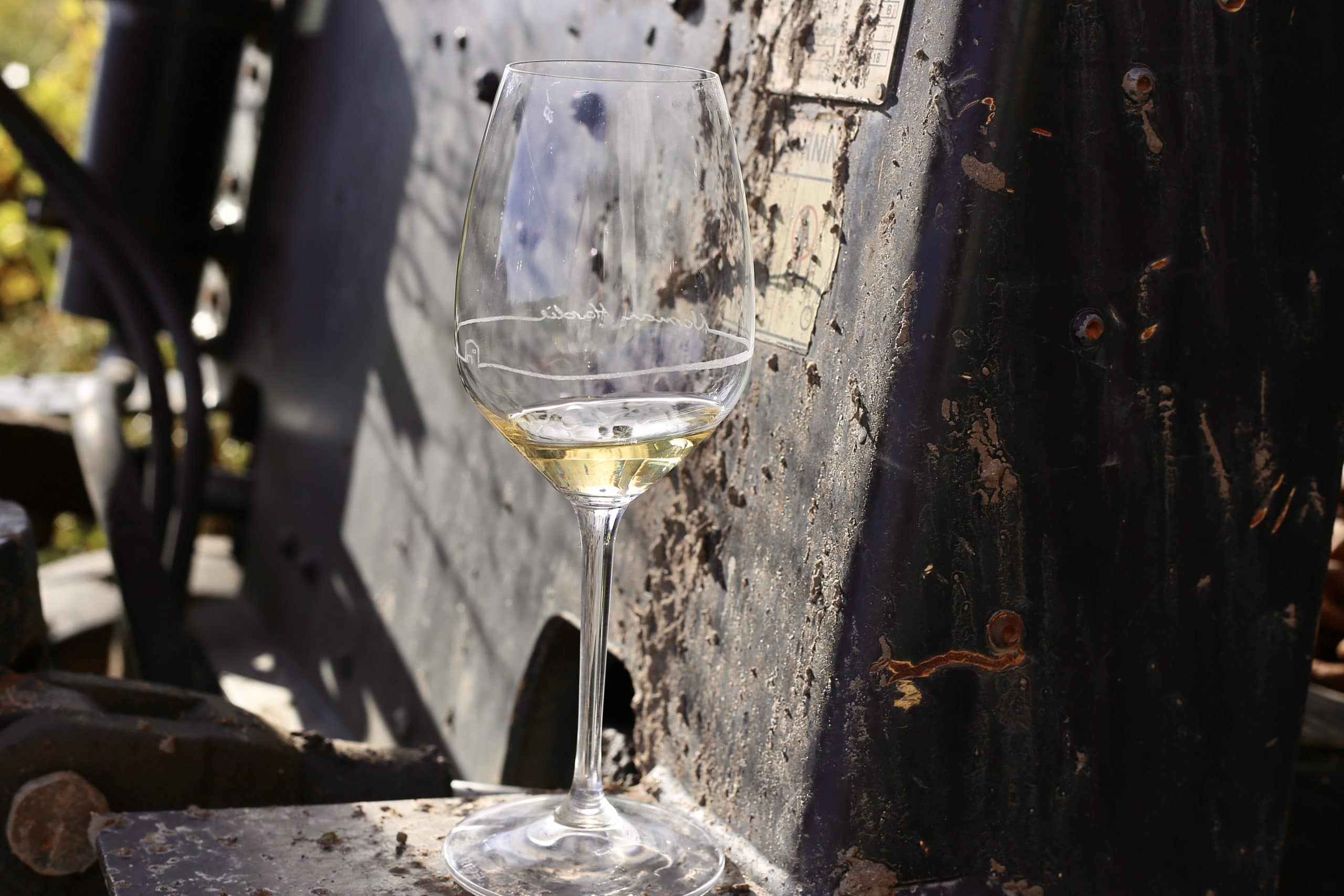 A glass of Chardonnay, Norman Hardie Winery, Prince Edward County